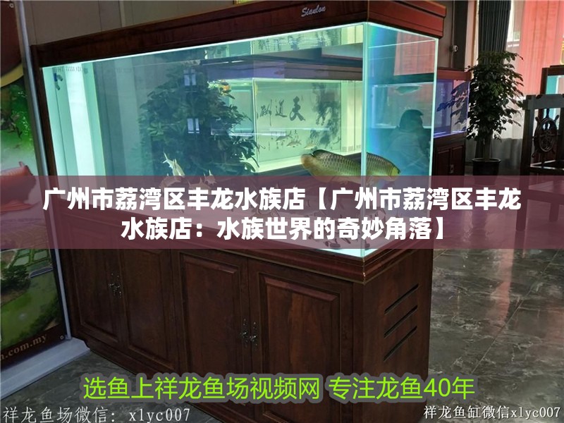 廣州市荔灣區豐龍水族店【廣州市荔灣區豐龍水族店：水族世界的奇妙角落】