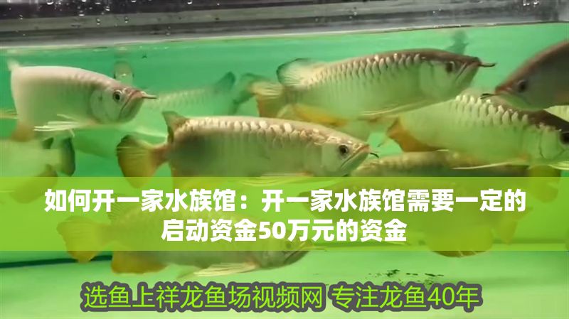 如何開一家水族館：開一家水族館需要一定的啟動資金50萬元的資金