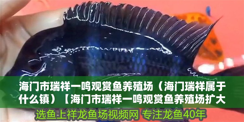給大魚缸換水的作文:體驗給大魚缸換水的樂趣:體驗給大魚缸換水:給大魚缸換水的作文 海門市瑞祥一鳴觀賞魚養殖場(海門瑞祥屬于什么鎮)【海門市瑞祥一鳴觀賞魚養殖場擴大規模計劃】 全國水族館企業名錄 海門市瑞祥一鳴觀賞魚養殖場(海門瑞祥屬于什么鎮)【海門市瑞祥一鳴觀賞魚養殖場擴大規模計劃】 海門市瑞祥一鳴觀賞魚養殖場(海門瑞祥屬于什么鎮)【海門市瑞祥一鳴觀賞魚養殖場擴大規模計劃】 全國水族館企業名錄