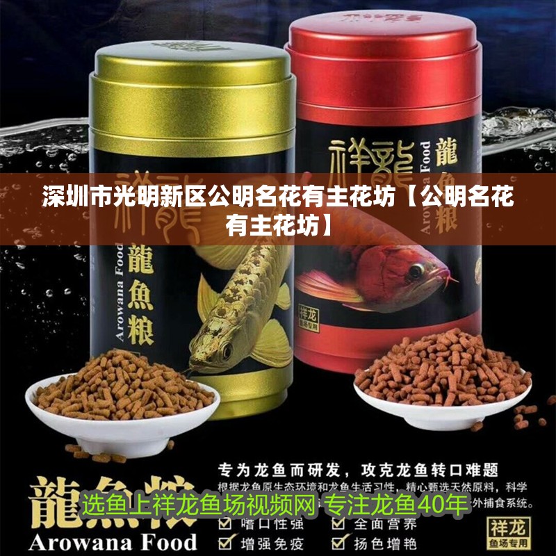 深圳市光明新區公明名花有主花坊【公明名花有主花坊】