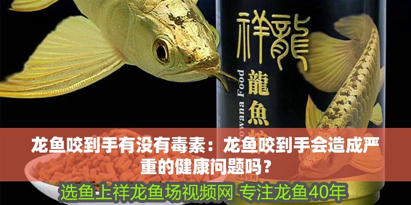 龍魚咬到手有沒有毒素：龍魚咬到手會造成嚴重的健康問題嗎？