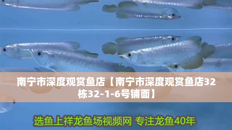 南寧市深度觀賞魚店【南寧市深度觀賞魚店32棟32-1-6號鋪面】