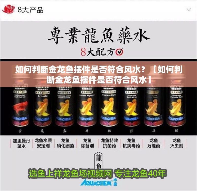 如何判斷金龍魚擺件是否符合風水？【如何判斷金龍魚擺件是否符合風水】