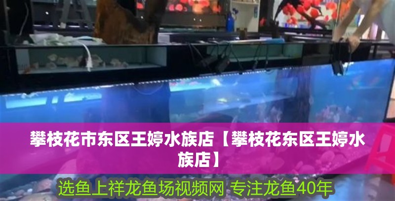 攀枝花市東區王婷水族店【攀枝花東區王婷水族店】