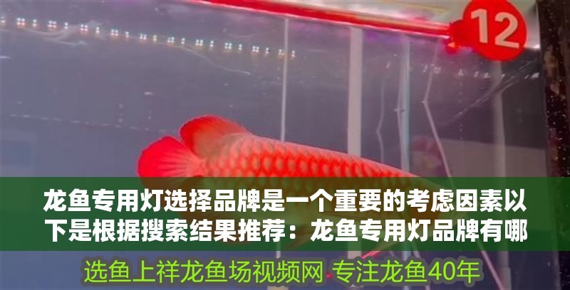 龍魚專用燈選擇品牌是一個重要的考慮因素以下是根據搜索結果推薦：龍魚專用燈品牌有哪些