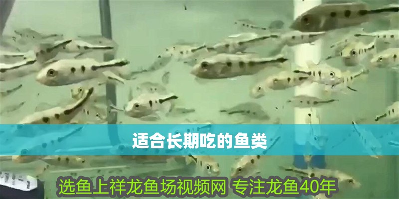 適合長期吃的魚類