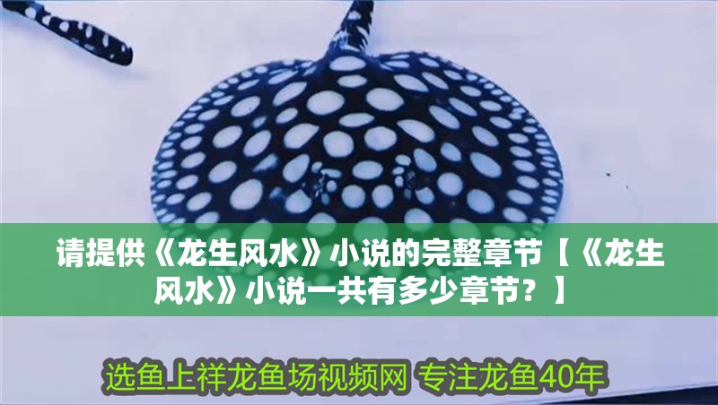 請提供《龍生風水》小說的完整章節【《龍生風水》小說一共有多少章節？】