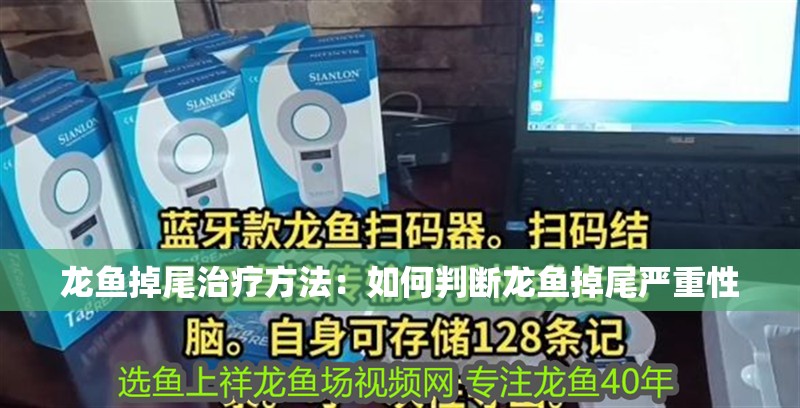 龍魚掉尾治療方法：如何判斷龍魚掉尾嚴(yán)重性