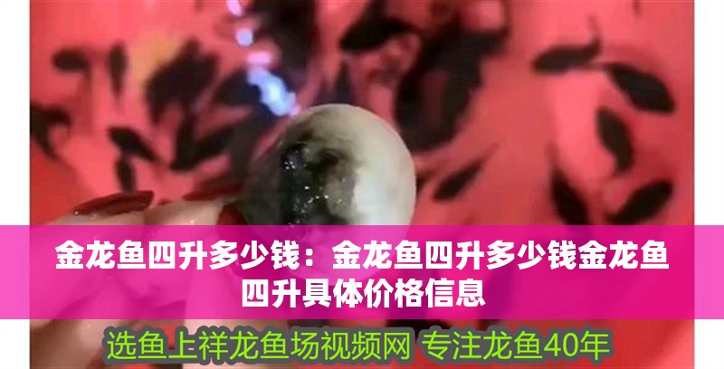 金龍魚四升多少錢：金龍魚四升多少錢金龍魚四升具體價格信息
