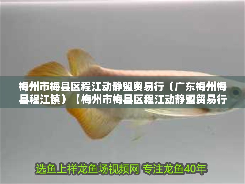 梅州市梅縣區程江動靜盟貿易行（廣東梅州梅縣程江鎮）【梅州市梅縣區程江動靜盟貿易行】