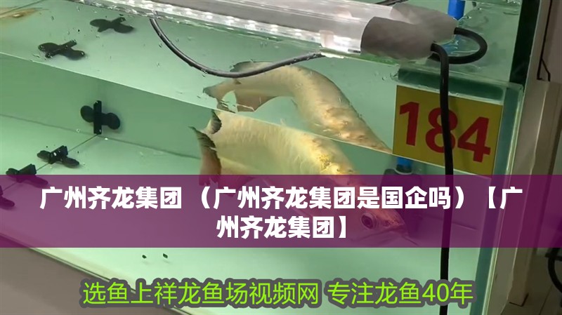 廣州齊龍集團 （廣州齊龍集團是國企嗎）【廣州齊龍集團】