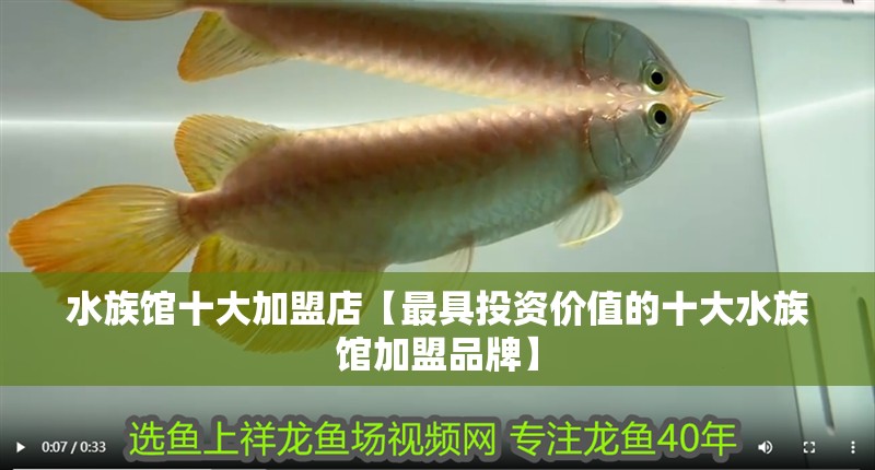 水族館十大加盟店【最具投資價值的十大水族館加盟品牌】