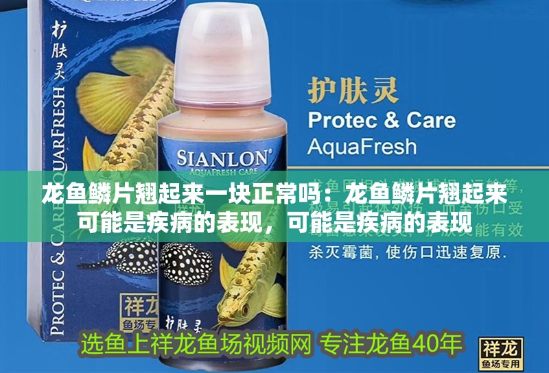龍魚鱗片翹起來一塊正常嗎：龍魚鱗片翹起來可能是疾病的表現(xiàn)，可能是疾病的表現(xiàn)