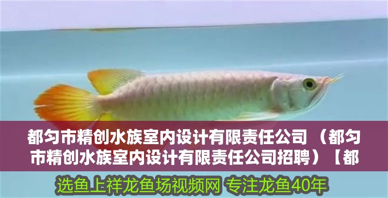 都勻市精創(chuàng)水族室內(nèi)設(shè)計(jì)有限責(zé)任公司 （都勻市精創(chuàng)水族室內(nèi)設(shè)計(jì)有限責(zé)任公司招聘）【都勻市水族室內(nèi)設(shè)計(jì)有限責(zé)任公司招聘】