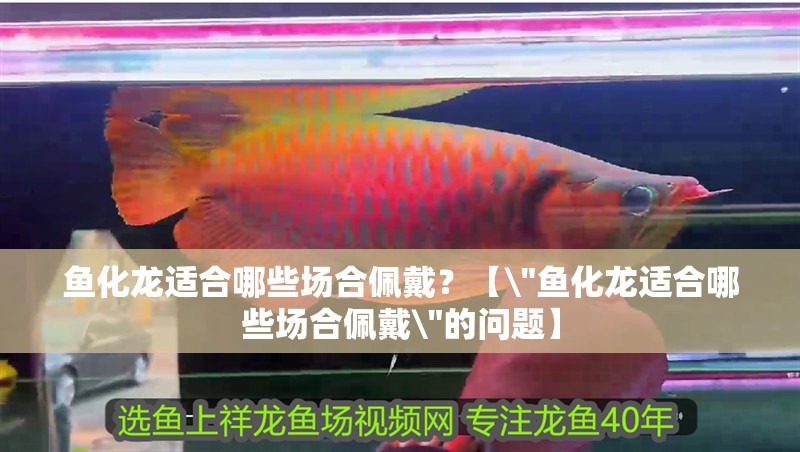 魚化龍適合哪些場合佩戴？【\