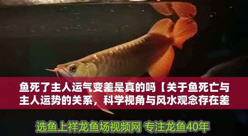 魚死了主人運氣變差是真的嗎【關于魚死亡與主人運勢的關系，科學視角與風水觀念存在差異】
