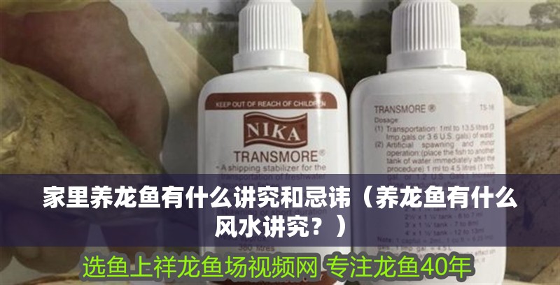 家里養龍魚有什么講究和忌諱（養龍魚有什么風水講究？）