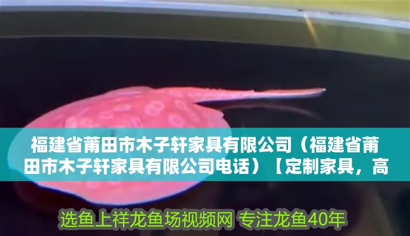 福建省莆田市木子軒家具有限公司（福建省莆田市木子軒家具有限公司電話）【定制家具，高品質家具】