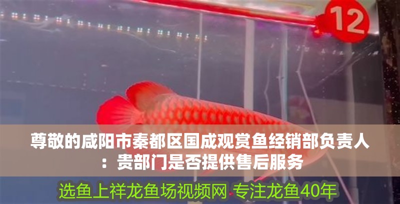 尊敬的咸陽市秦都區國成觀賞魚經銷部負責人：貴部門是否提供售后服務