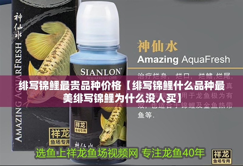 緋寫錦鯉最貴品種價格【緋寫錦鯉什么品種最美緋寫錦鯉為什么沒人買】