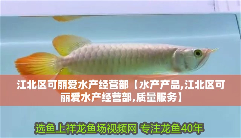 江北區可麗愛水產經營部【水產產品,江北區可麗愛水產經營部,質量服務】