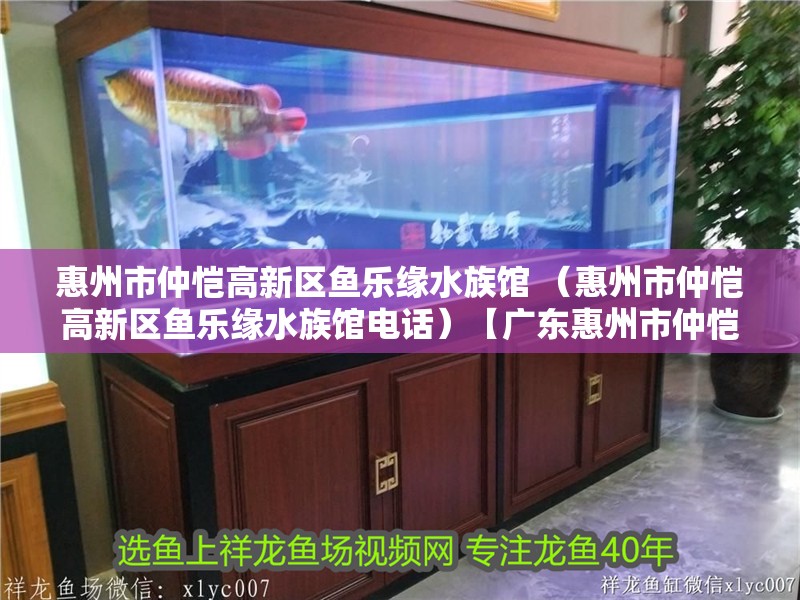 惠州市仲愷高新區魚樂緣水族館 （惠州市仲愷高新區魚樂緣水族館電話）【廣東惠州市仲愷高新區魚樂緣水族館及其聯系方式介紹】