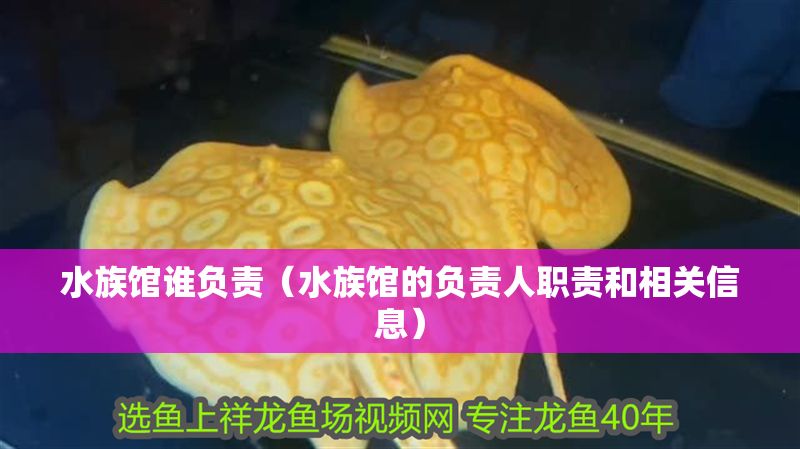 水族館誰負責（水族館的負責人職責和相關信息）