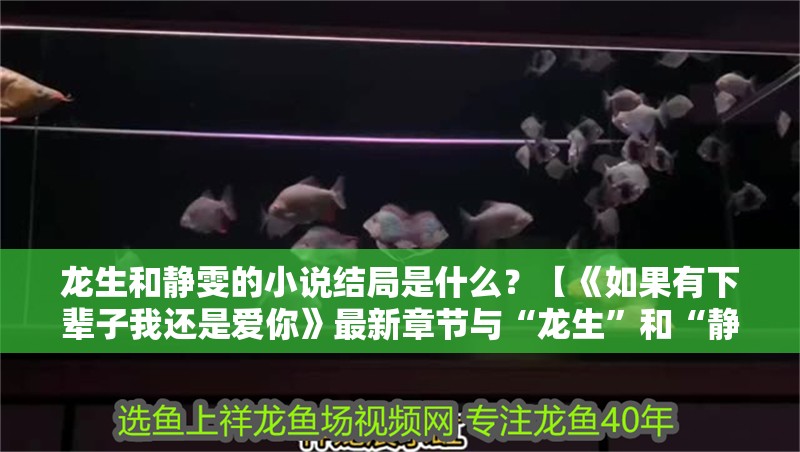 龍生和靜雯的小說結局是什么？【《如果有下輩子我還是愛你》最新章節與“龍生”和“靜雯”結局】