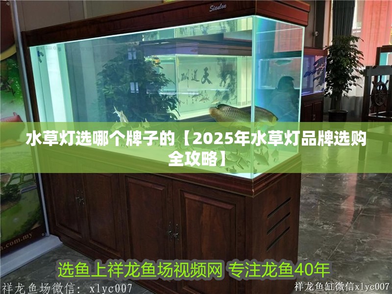 水草燈選哪個(gè)牌子的【2025年水草燈品牌選購全攻略】