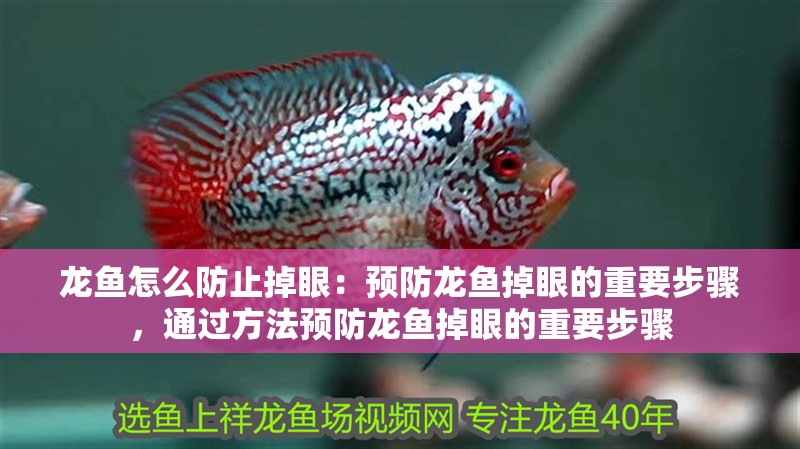 龍魚怎么防止掉眼：預防龍魚掉眼的重要步驟，通過方法預防龍魚掉眼的重要步驟