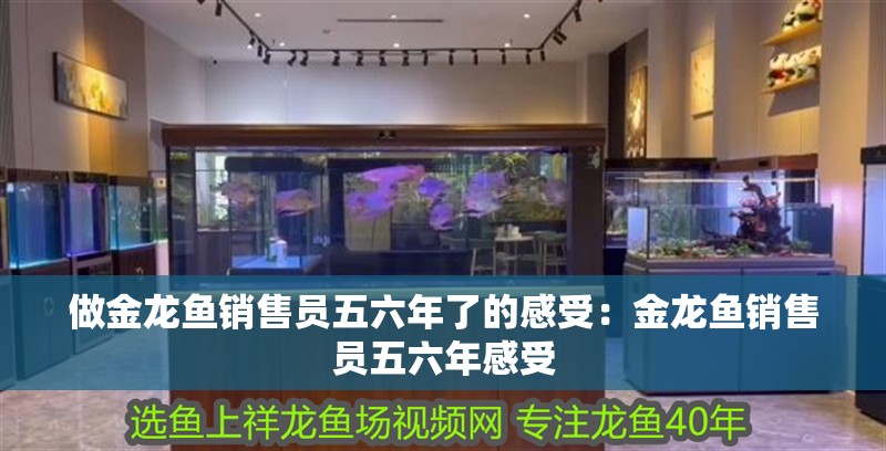 做金龍魚銷售員五六年了的感受：金龍魚銷售員五六年感受 做金龍魚銷售員五六年了的感受：金龍魚銷售員五六年感受 龍魚百科