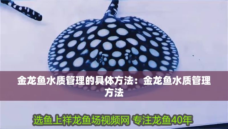 金龍魚水質管理的具體方法：金龍魚水質管理方法
