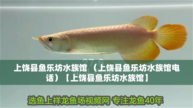 上饒縣魚樂坊水族館 （上饒縣魚樂坊水族館電話）【上饒縣魚樂坊水族館】