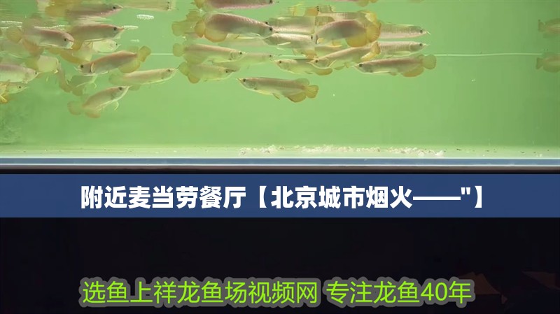 附近麥當勞餐廳【北京城市煙火——