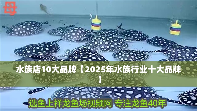 水族店10大品牌【2025年水族行業十大品牌】
