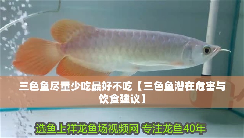三色魚盡量少吃最好不吃【三色魚潛在危害與飲食建議】