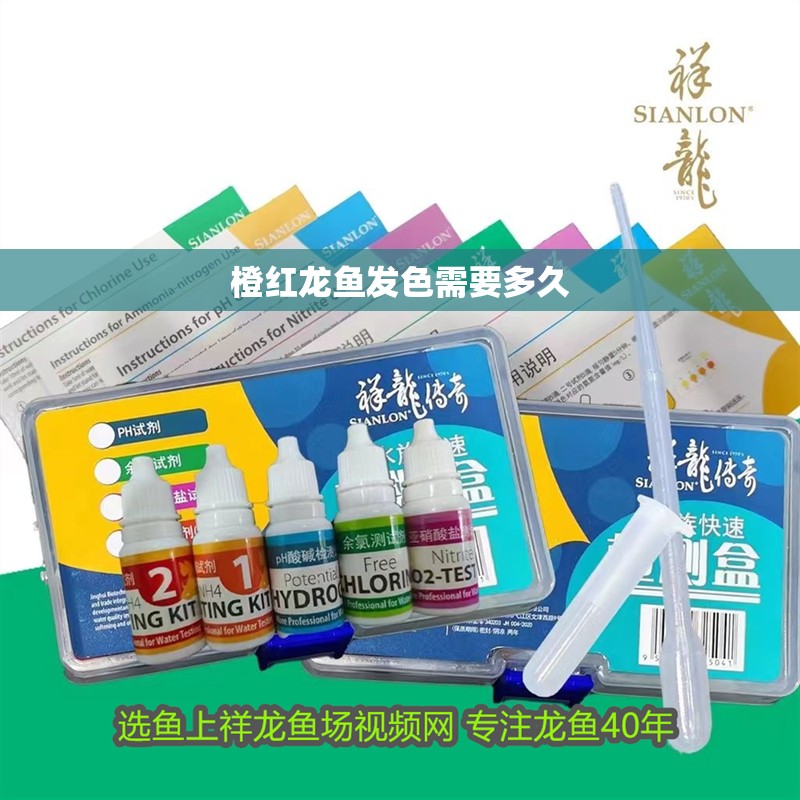 橙紅龍魚發色需要多久