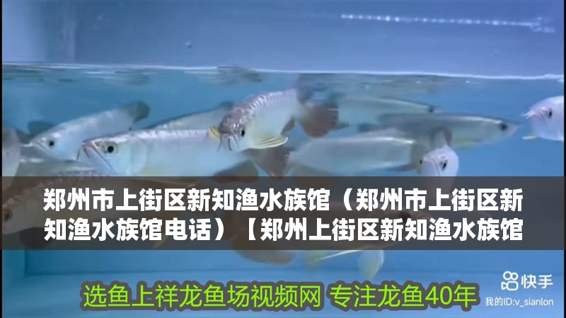 鄭州市上街區新知漁水族館（鄭州市上街區新知漁水族館電話）【鄭州上街區新知漁水族館】