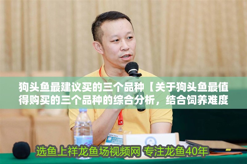 狗頭魚最建議買的三個品種【關于狗頭魚最值得購買的三個品種的綜合分析，結合飼養難度及觀賞價值等維度推薦】