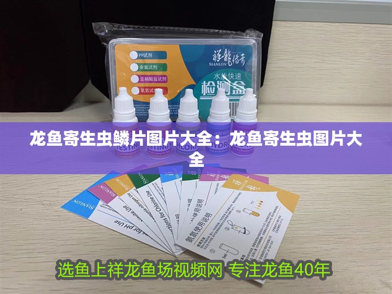 龍魚(yú)寄生蟲(chóng)鱗片圖片大全：龍魚(yú)寄生蟲(chóng)圖片大全