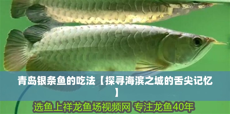 青島銀條魚(yú)的吃法【探尋海濱之城的舌尖記憶】