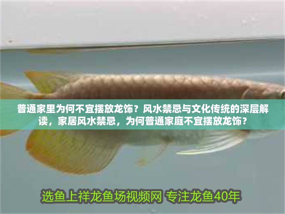 普通家里為何不宜擺放龍飾？風水禁忌與文化傳統的深層解讀，家居風水禁忌，為何普通家庭不宜擺放龍飾？