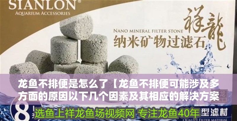 龍魚不排便是怎么了【龍魚不排便可能涉及多方面的原因以下幾個因素及其相應的解決方案】