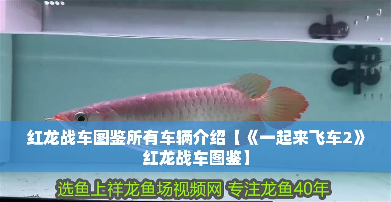 紅龍戰車圖鑒所有車輛介紹【《一起來飛車2》紅龍戰車圖鑒】