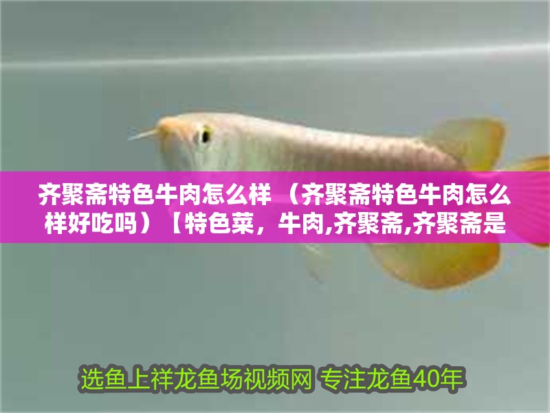 齊聚齋特色牛肉怎么樣 （齊聚齋特色牛肉怎么樣好吃嗎）【特色菜，牛肉,齊聚齋,齊聚齋是一家以素食為主的餐飲品牌】 齊聚齋特色牛肉怎么樣 （齊聚齋特色牛肉怎么樣好吃嗎）【特色菜，牛肉,齊聚齋,齊聚齋是一家以素食為主的餐飲品牌】 全國水族館企業名錄