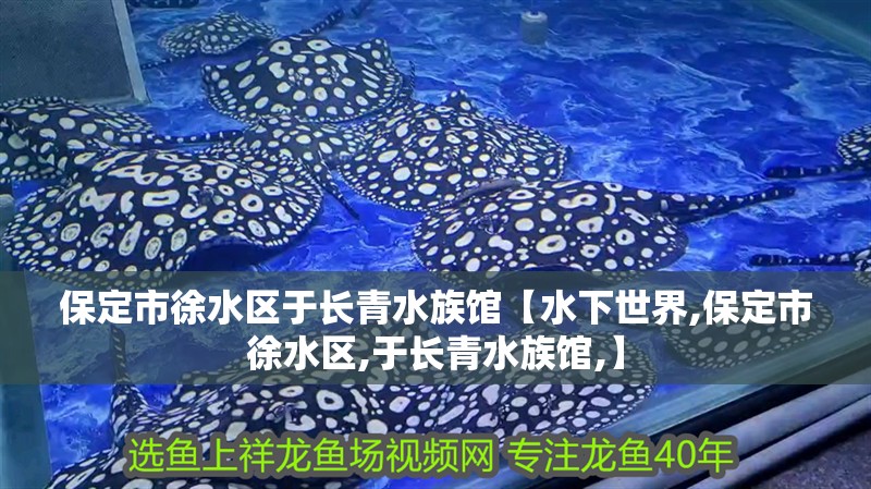 保定市<strong><mark>徐水</mark></strong>區于長青水族館【水下世界,保定市<strong><mark>徐水</mark></strong>區,于長青水族館,】