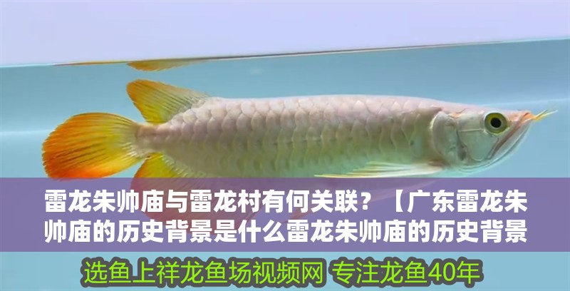 雷龍朱帥廟與雷龍村有何關(guān)聯(lián)？【廣東雷龍朱帥廟的歷史背景是什么雷龍朱帥廟的歷史背景是什么】