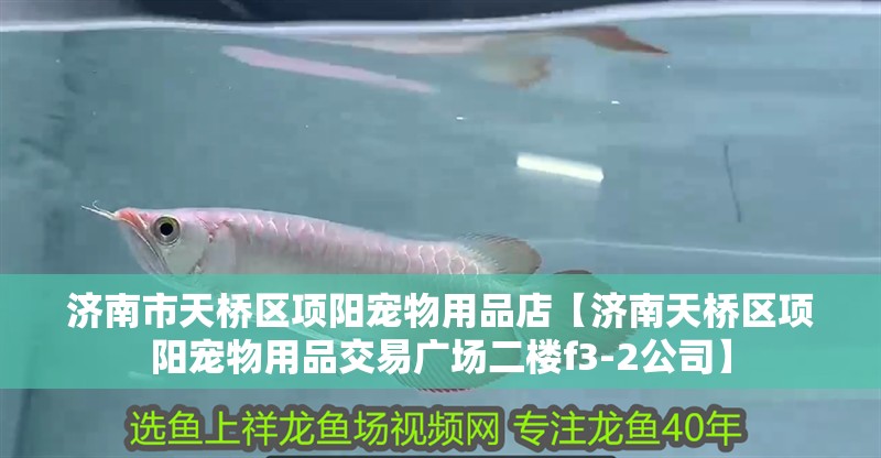 濟<strong><mark>南市</mark></strong>天橋區(qū)項陽寵物用品店【濟南天橋區(qū)項陽寵物用品交易廣場二樓f3-2公司】