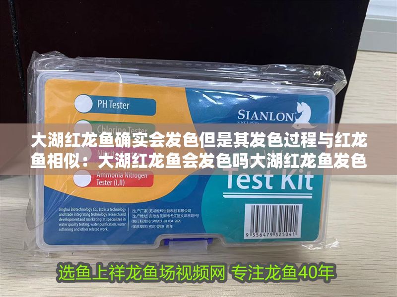 大湖紅龍魚(yú)確實(shí)會(huì)發(fā)色但是其發(fā)色過(guò)程與紅龍魚(yú)相似：大湖紅龍魚(yú)會(huì)發(fā)色嗎大湖紅龍魚(yú)發(fā)色過(guò)程與紅龍魚(yú)相似