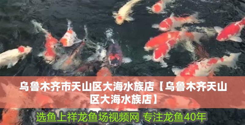 烏魯木齊市天山區大海水族店【烏魯木齊天山區大海水族店】